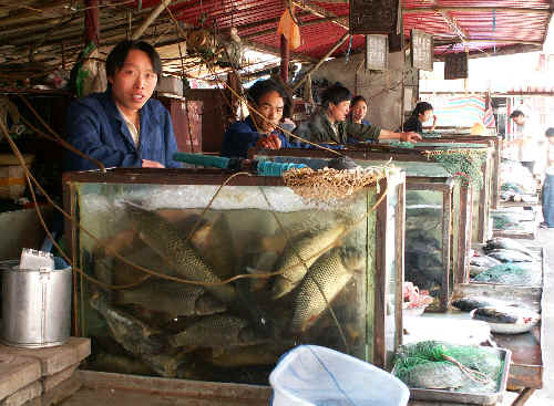 Xining: bazar