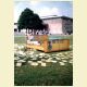 Kassel: Documenta IX