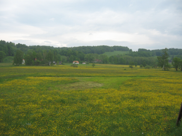 Pod Głębockiem