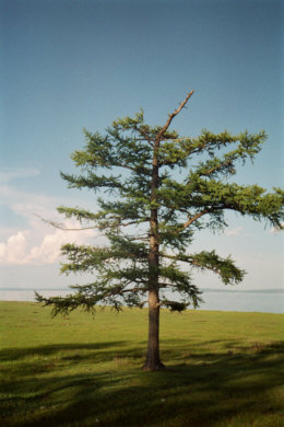 Nad Chubsugułem
