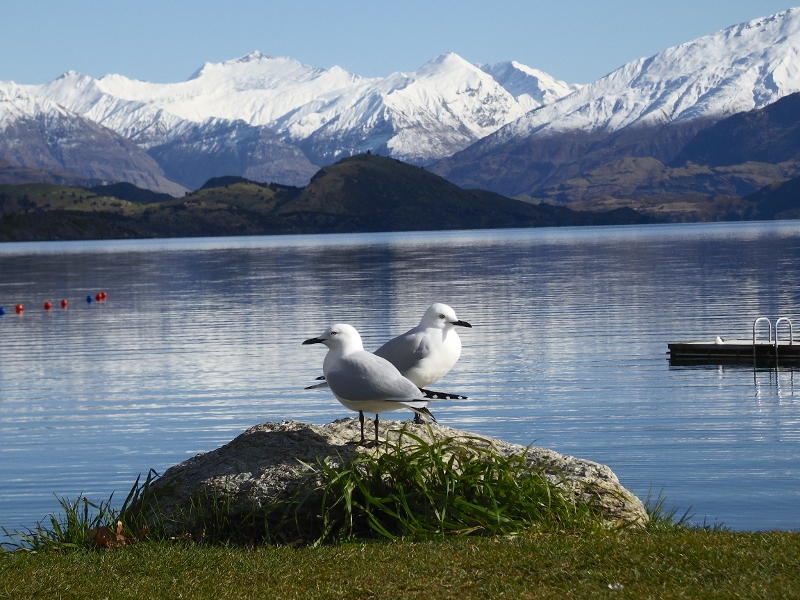 Nad J. Wanaka