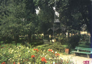 Lubaczów