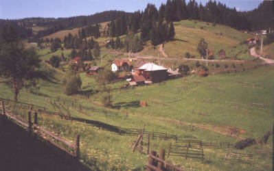 Bukowina